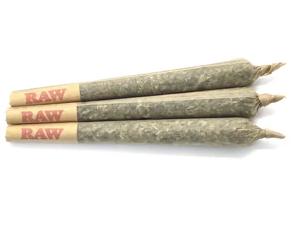 RAW Pre-Rolled Cones — King Size (3-Pack)
